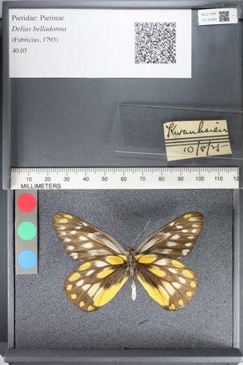 Media type: image;   Entomology 130369